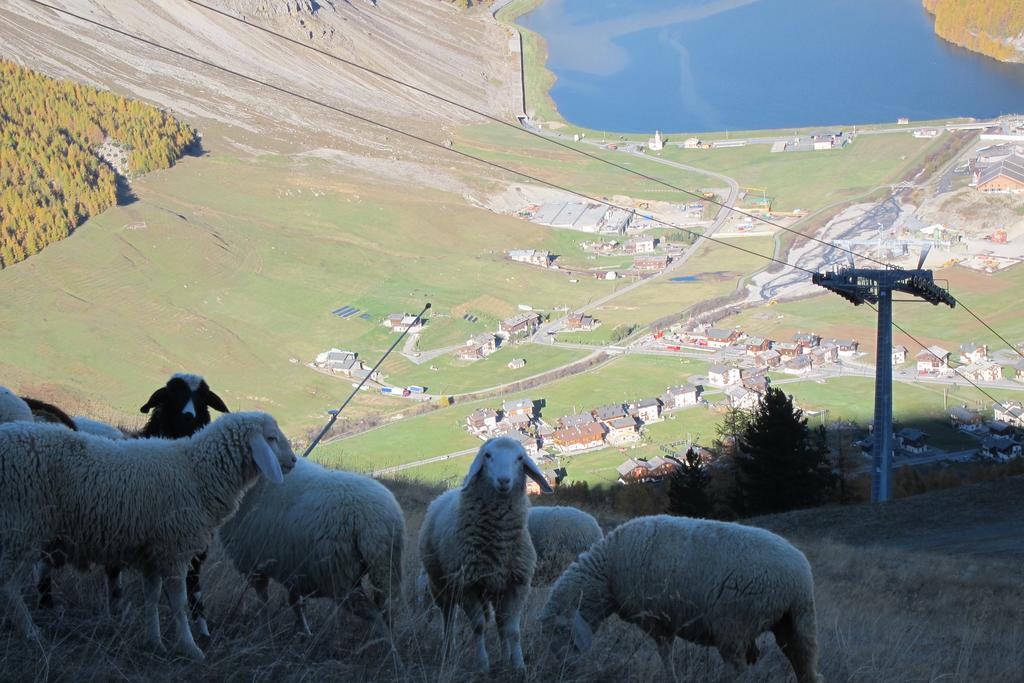 Chalet Del Sole per gruppi Livigno Esterno foto